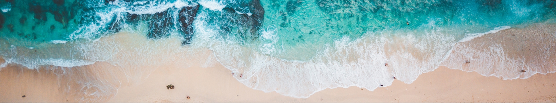 BALI banner image
