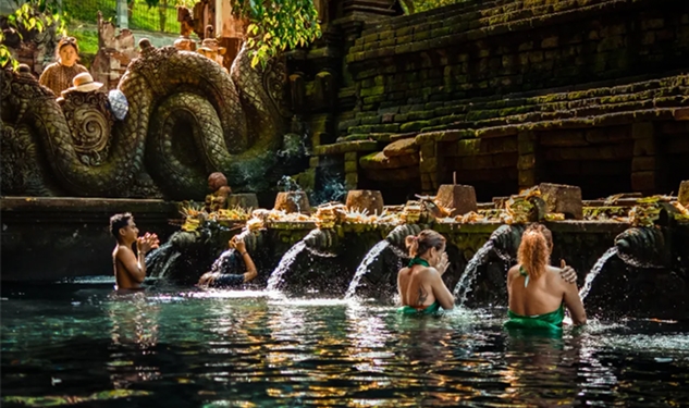 BALI gallery image 1