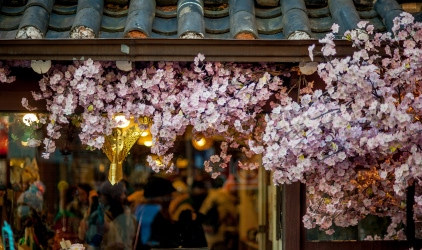 KOREA gallery image 3