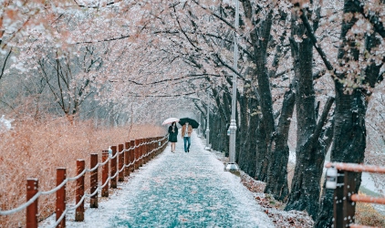 KOREA gallery image 5
