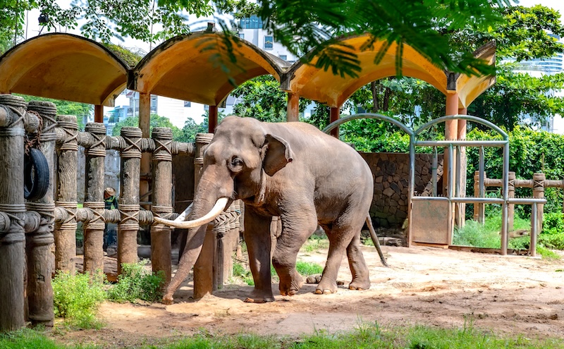 VIETNAM gallery image 5