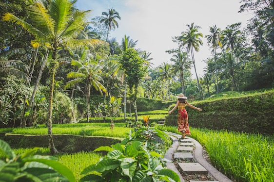 BALI gallery image 3