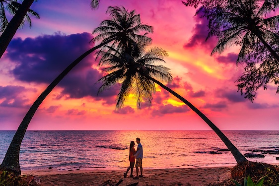 BALI gallery image 5