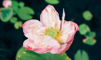 BANGKOK gallery image 6