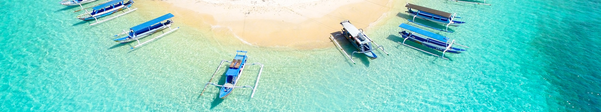 BALI banner image