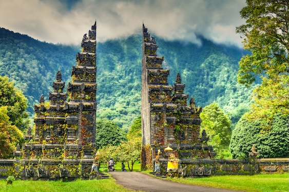 BALI gallery image 4