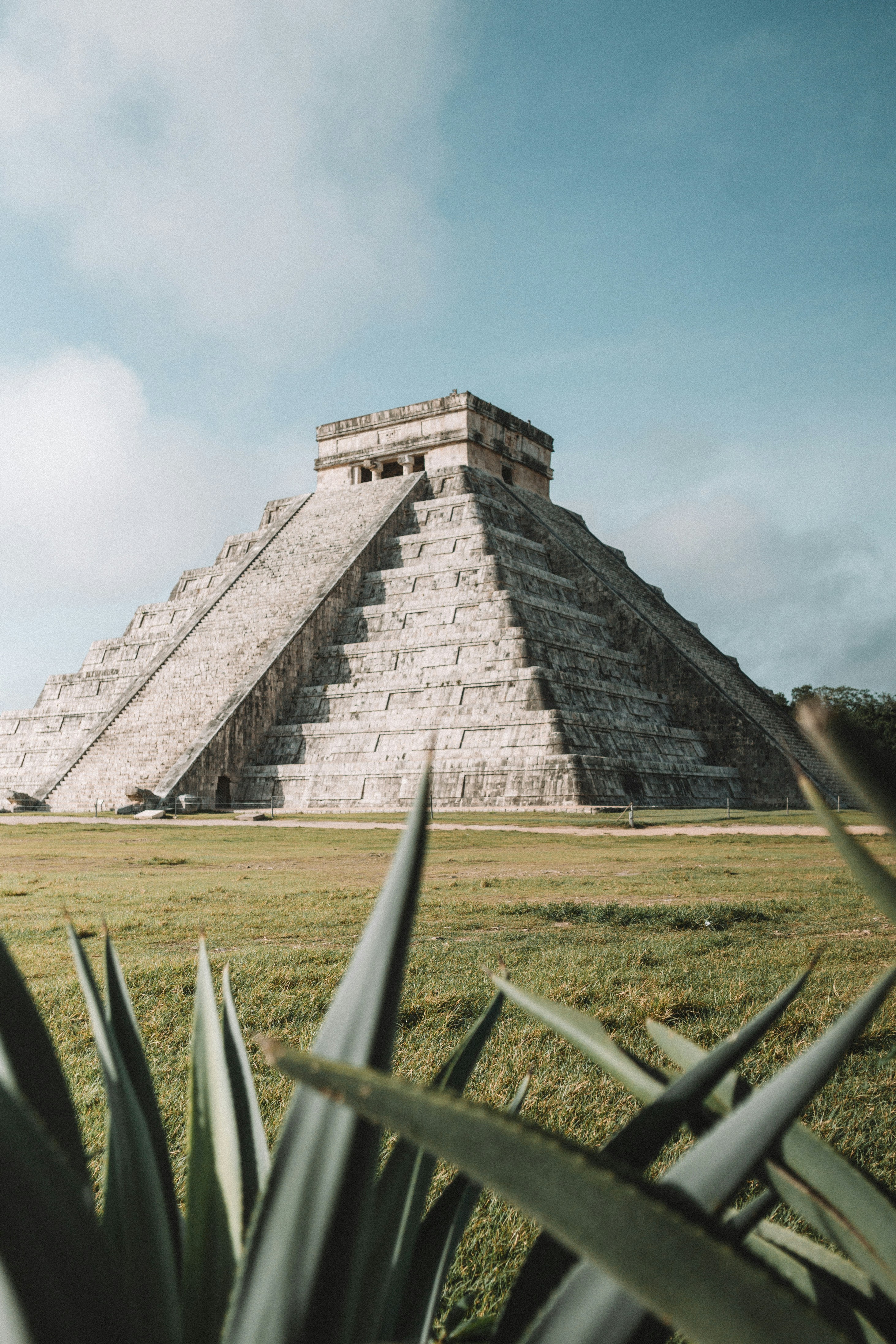 舞台はメキシコ